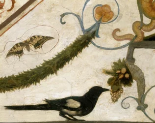 Grotesque, Oiseau