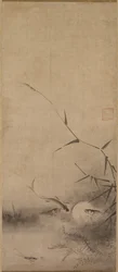 Poisson et algues