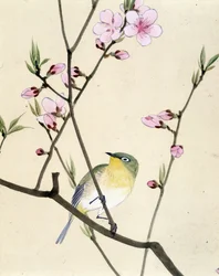Oiseau - dessin japonais par Riou Chim, fin du 19e siècle