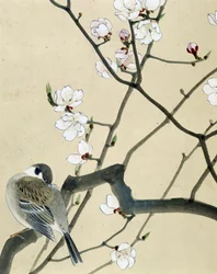Oiseau - dessin japonais par Riou Chim