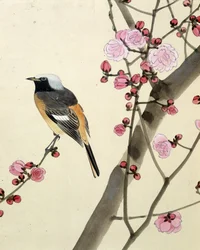 Oiseau - dessin japonais par Riou Chim