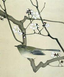 Oiseau - Dessin japonais par Riou Chim, fin 19ème siècle