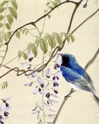 Oiseau - dessin japonais par Riou Chim, fin du XIXe siècle
