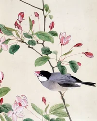 Oiseau - dessin japonais par Riou Chim, fin du XIXe siècle