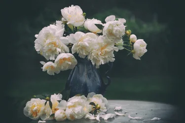 Nature morte aux pivoines blanches