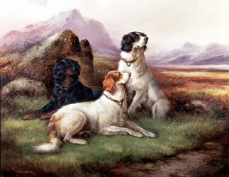Setters dans un Paysage des Highlands