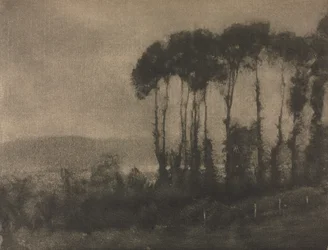 Camera Work : Vallée de Toucques, 1906