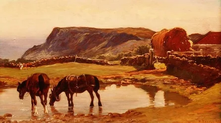 Abreuvant les Chevaux