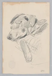 Chien