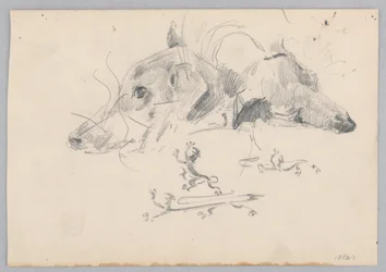 Chien et lion