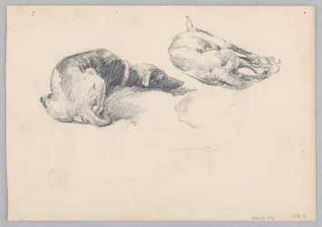 Chiens