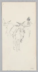Ânes