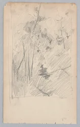 Paysage