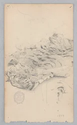 Tapis en Peau de Tigre