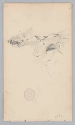 Tapis en peau de tigre