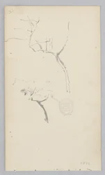 Arbre