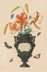 Une sélection de plantes hexandres, appartenant à l