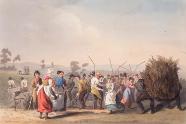 Battage du colza, 1er novembre 1813