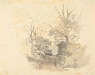 Un chemin, Great Borside