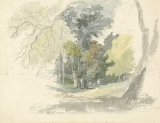 Une clairière boisée