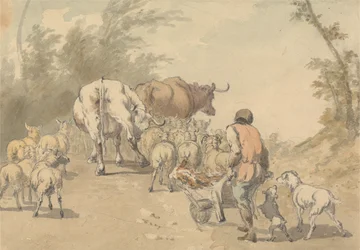 Troupeau de moutons et de vaches