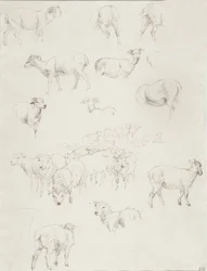 Troupeau de moutons, après 1794