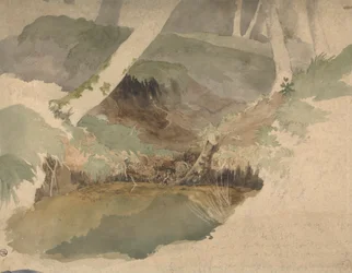 Étang forestier