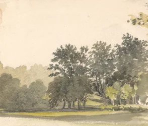Paysage avec des arbres