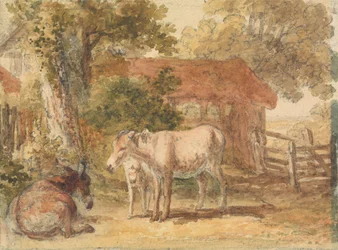 Trois ânes