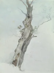 Étude d