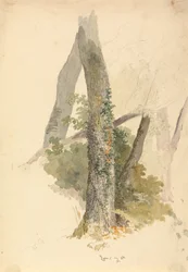 Étude d