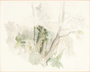 Arbres à Beddington