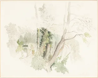 Arbres à Beddington