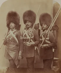 Pionniers et gardes Webster et Lemmen, Grenadier Guards