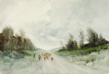 Une route du Northumberland