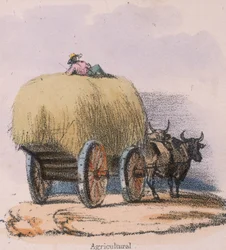 Agricole