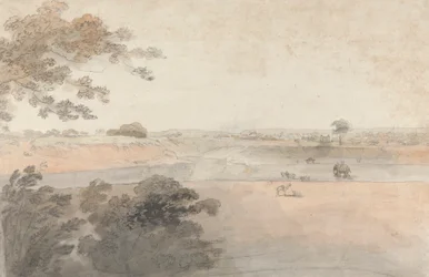 Paysage avec chameaux et éléphants