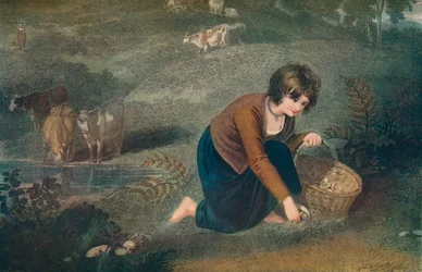Une fille cueillant des champignons