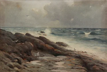 Côte rocheuse