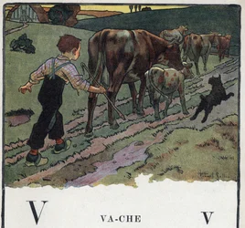 Livre pour enfants « Je saurai lire - Alphabet méthodique et amusant par un papa » 1926. Illustration de Robert Salles (1871-1929). Abécédaire : lettre V comme vache. Un garçon aide un chien, conduit un troupeau de vaches dans un champ