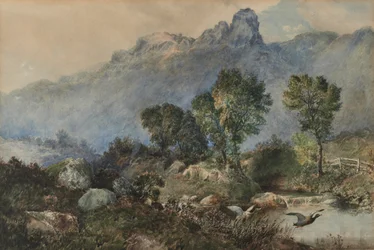 Paysage avec canards colverts