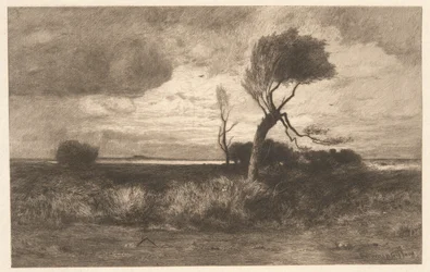 Près de la côte