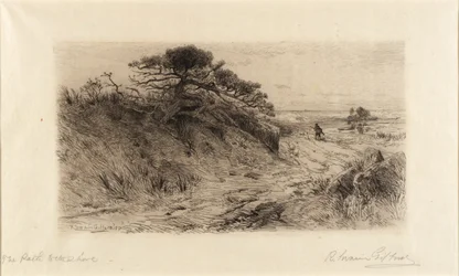 Le chemin vers le rivage