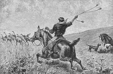 Lancer des bolas, vers 1885, 1890