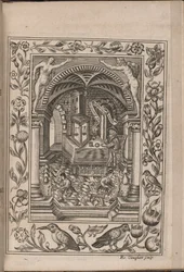 Theatrum chemicum Britannicum