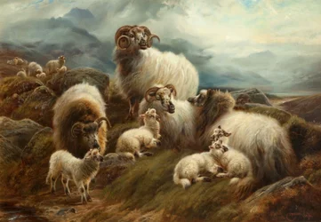 Moutons dans un paysage, 1894