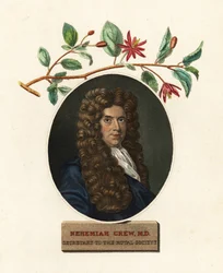 Portrait de Nehemiah Grew, médecin et botaniste