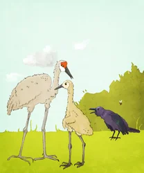 Gus Gus et le corvidé