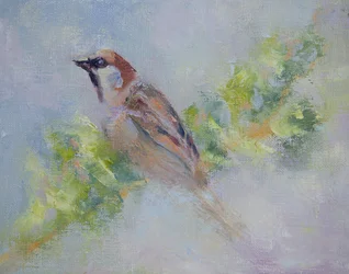 P. Domesticus, 2014