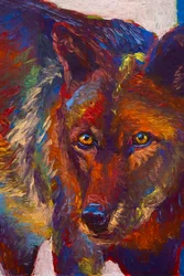 Regard Fixe, 2019